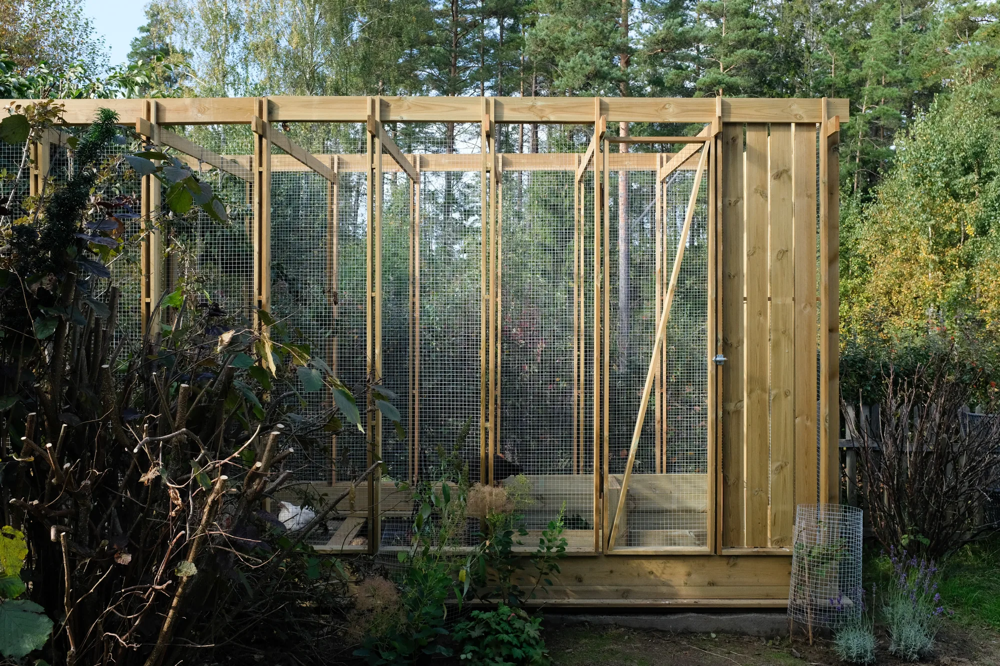Chicken coop, image 1 of 7