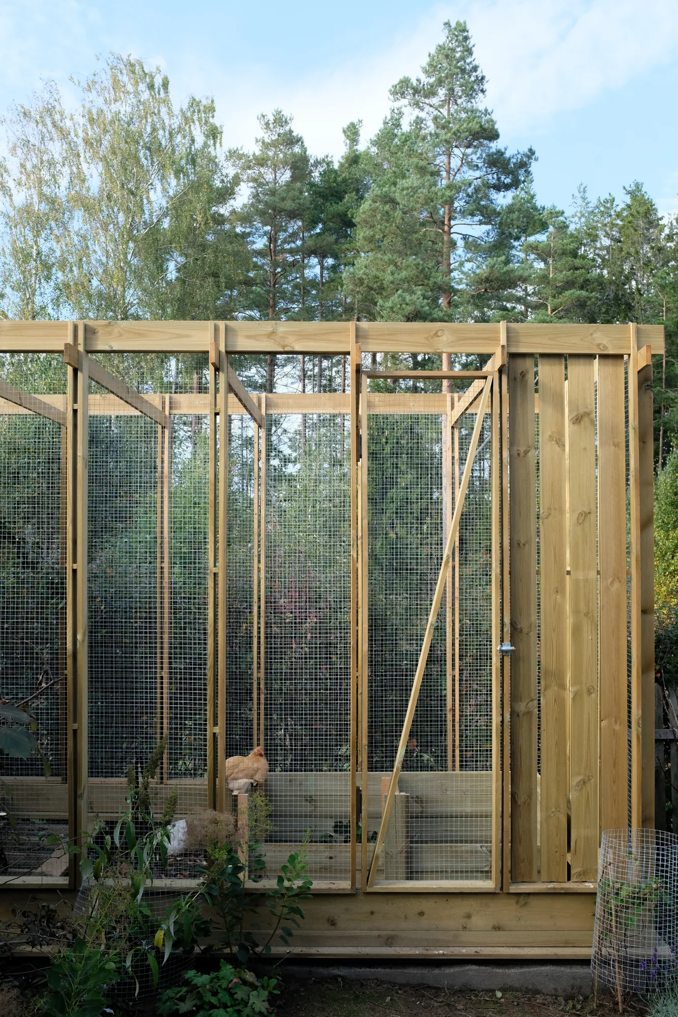 Chicken coop, image 4 of 7