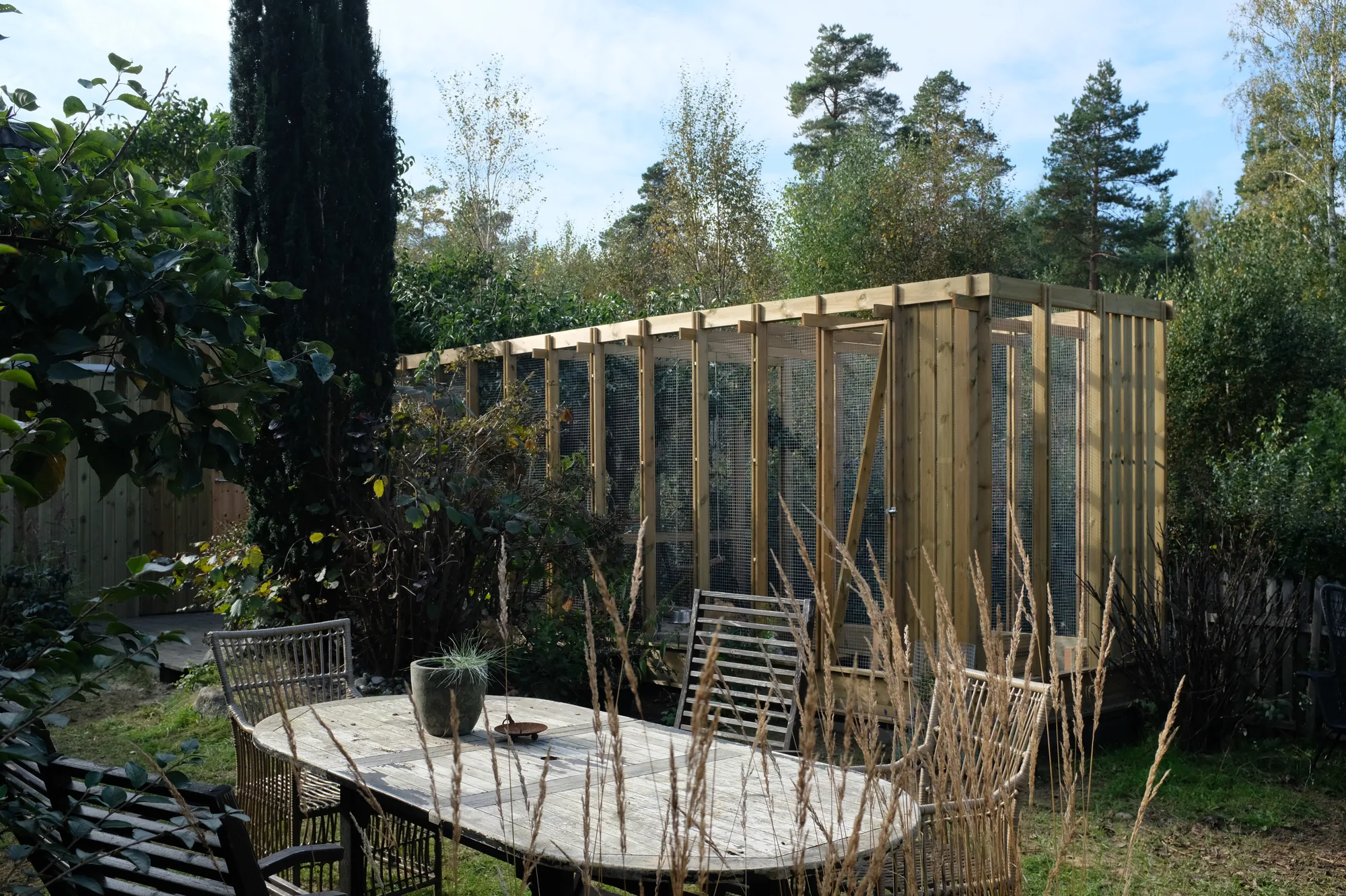 Chicken coop, image 7 of 7