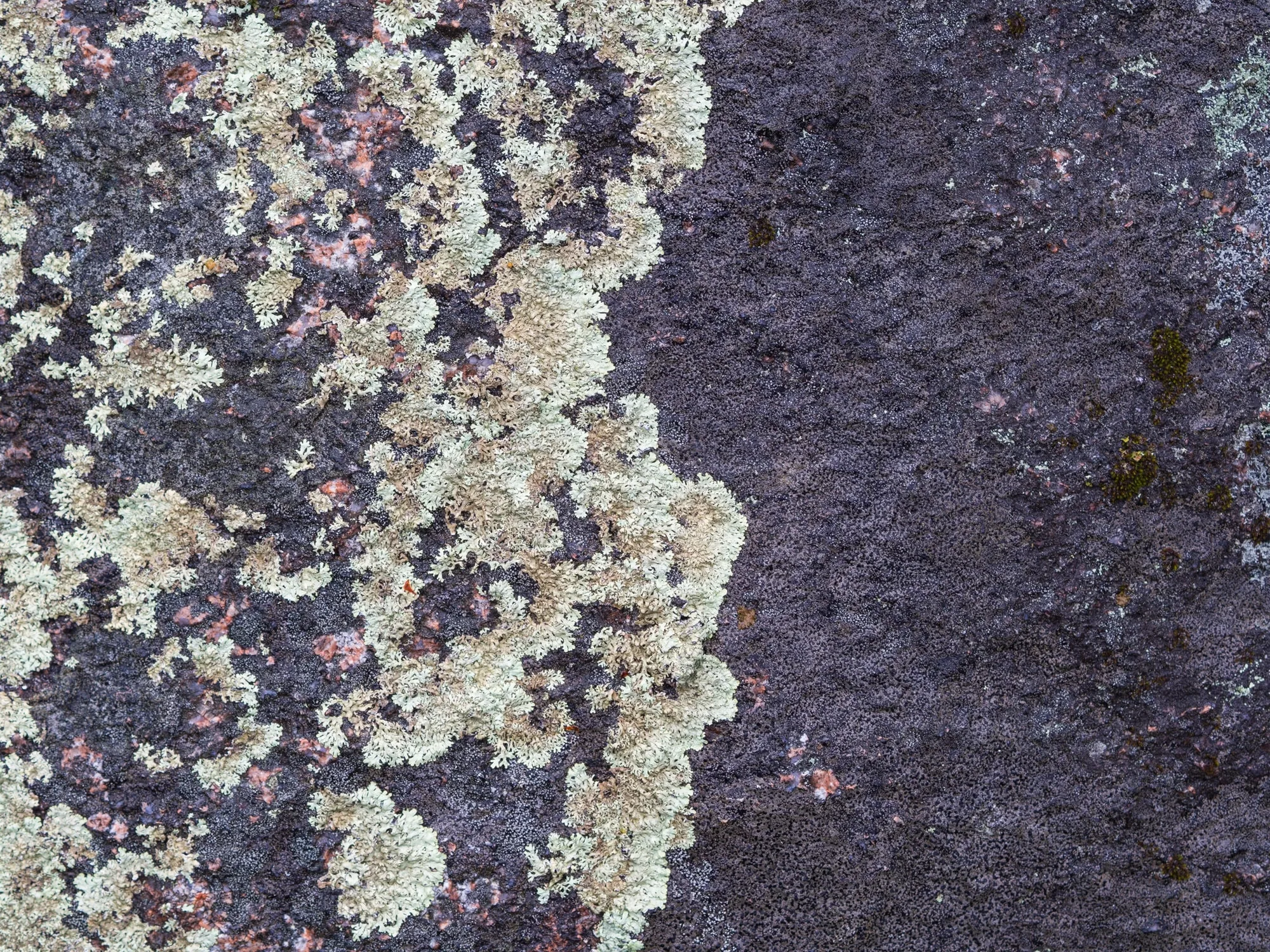 Borders and Transitions, image 1 of 8