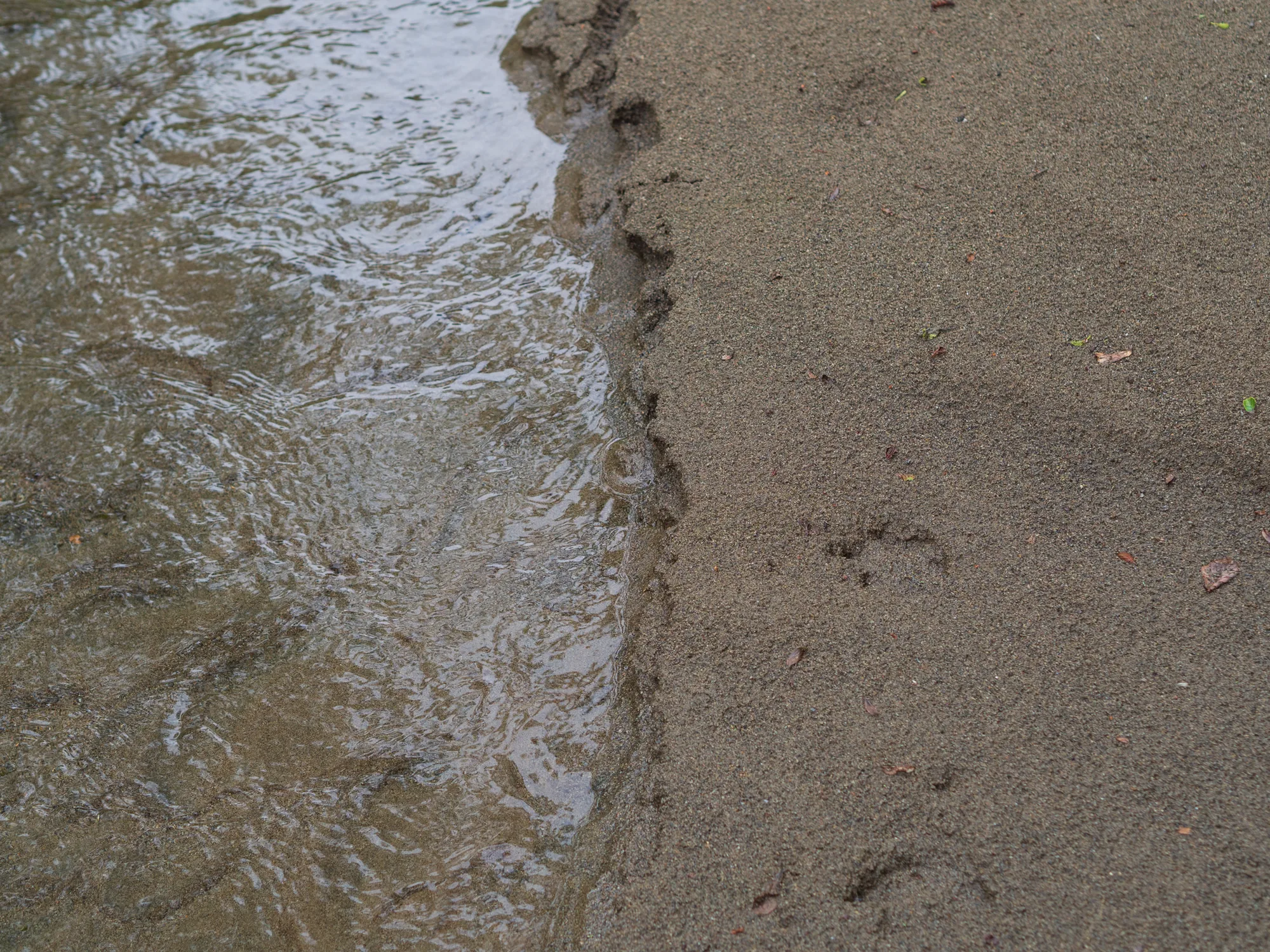 Borders and Transitions, image 7 of 8
