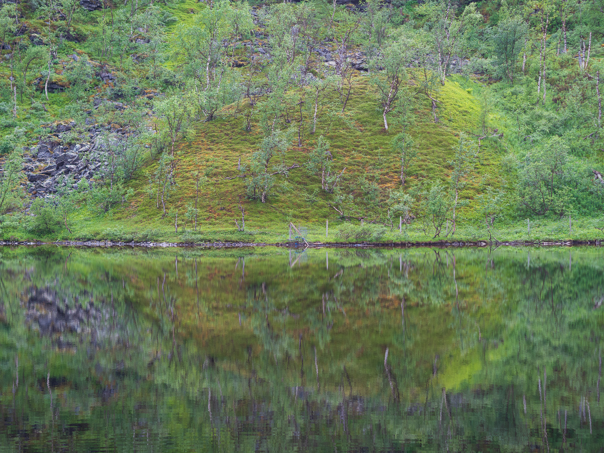 Symphony of Time and Architecture